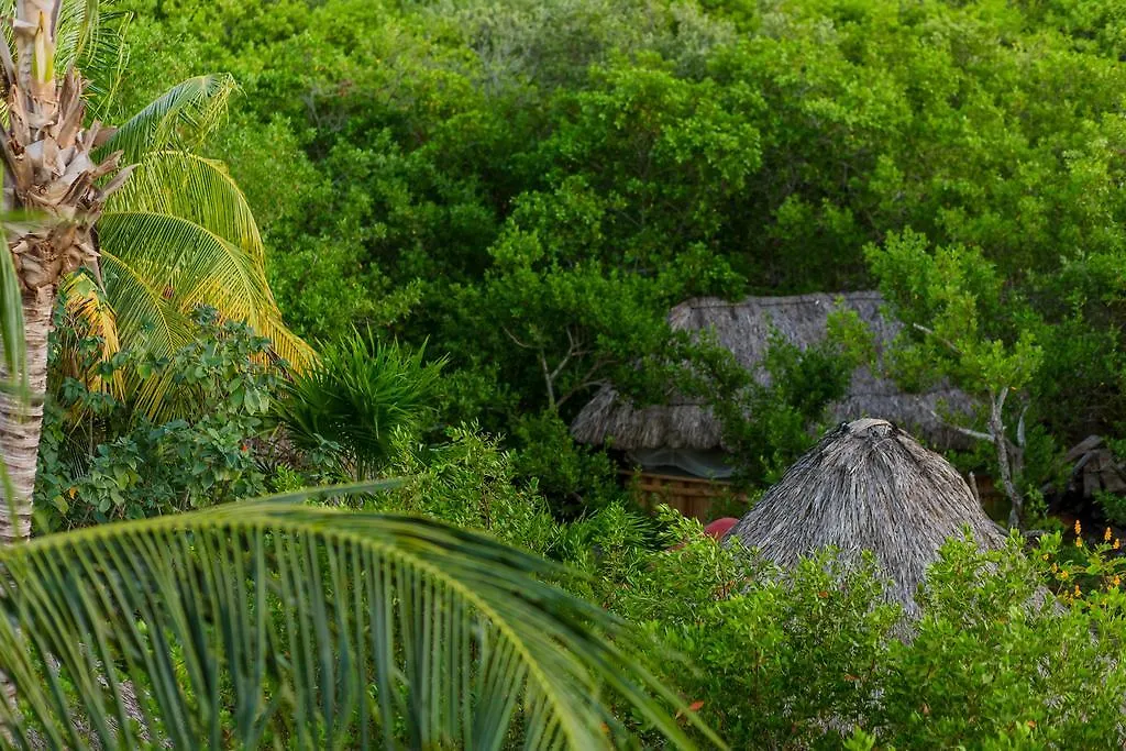 Cabanas Ida Y Vuelta Isla Holbox Hostel